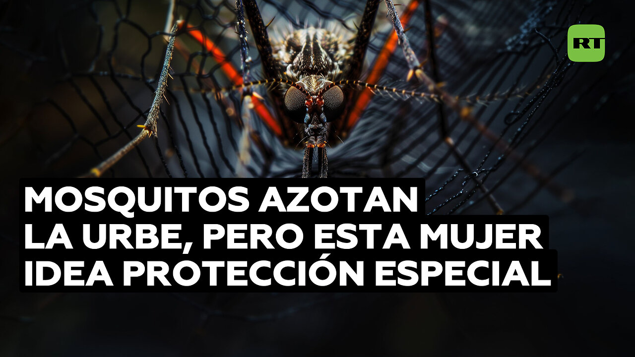 El ingenioso traje de una mujer para protegerse de los mosquitos en la calle