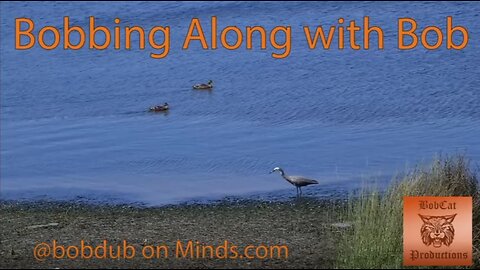 Bobbing Along with Michael Paul