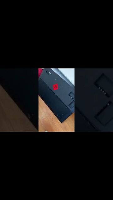 1Min Animal World #dogs #cats #pet