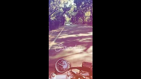 whatsapp status