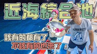 【台客去船釣】包子妹收集新魚種好時機！敲底開抖就有驚喜！ feat.小航海娛樂海釣船