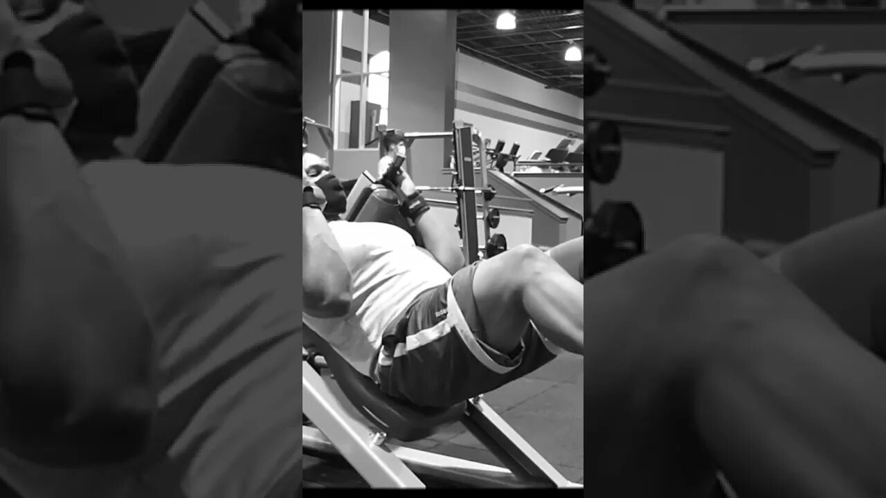 Hack Squat @ Star Trac