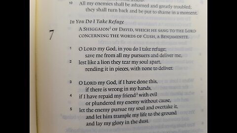 Psalm 7 - ESV Audio Only