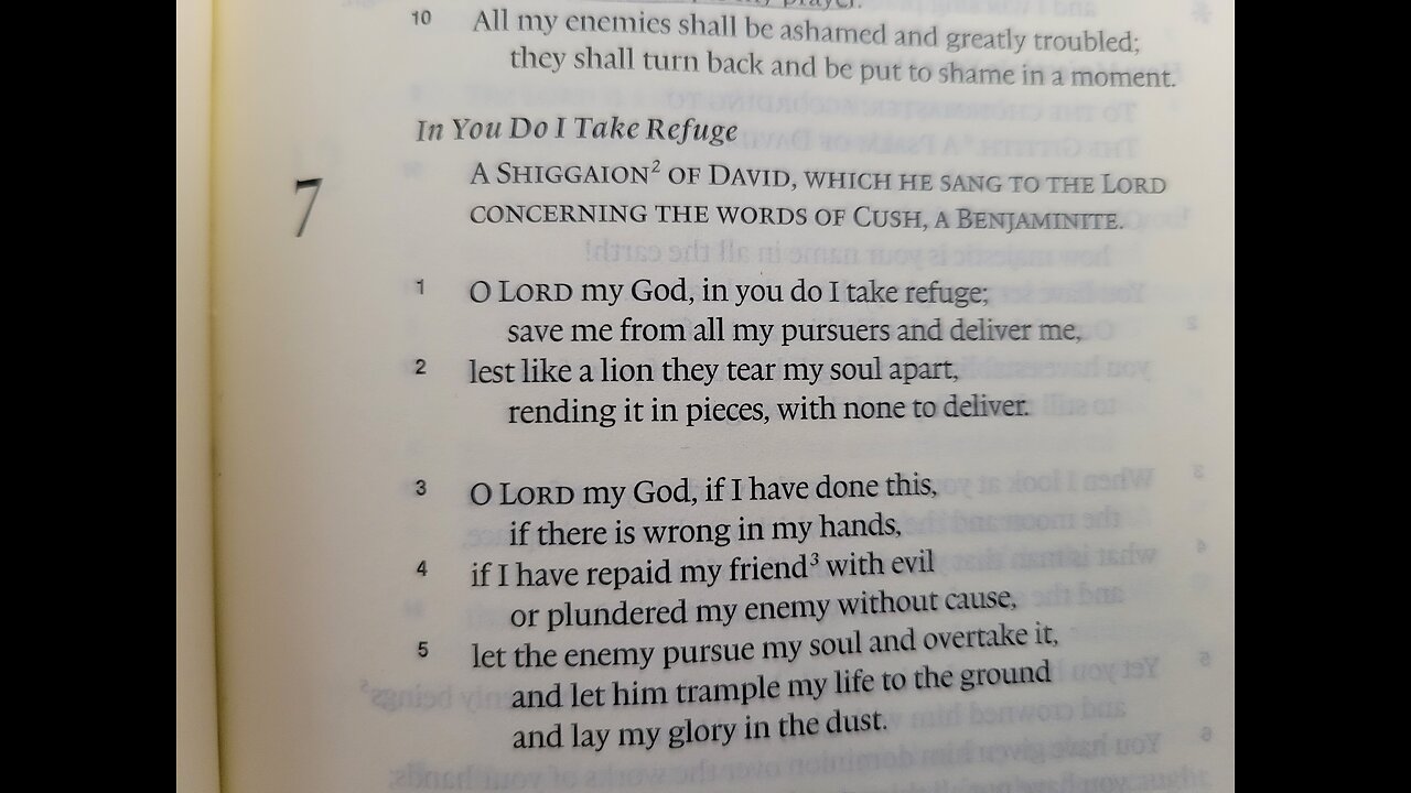 Psalm 7 - ESV Audio Only