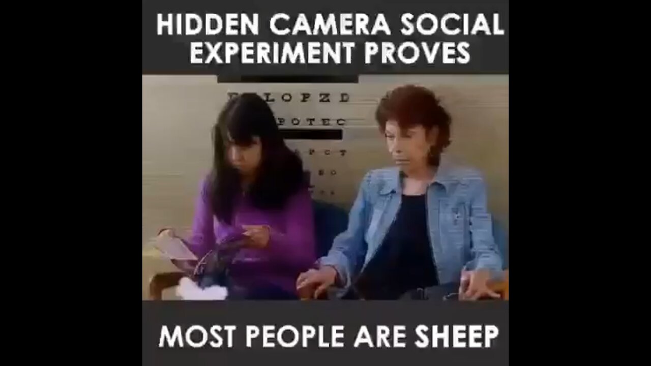 Social Experiment