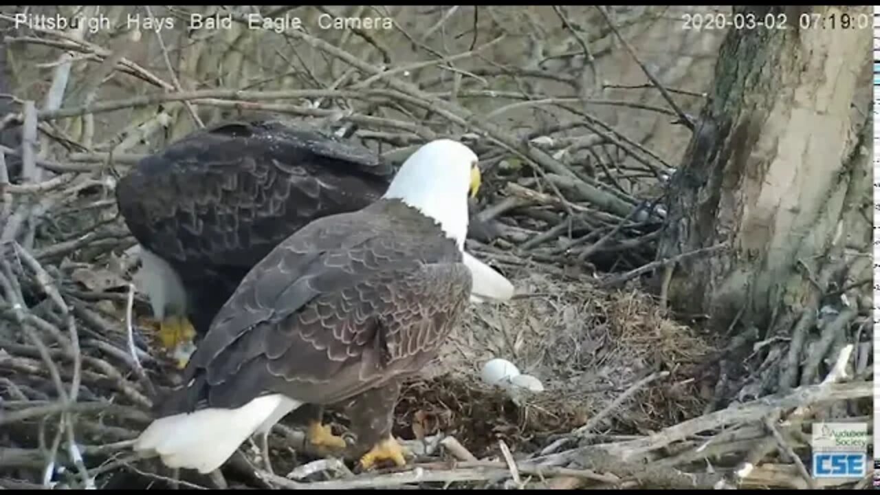 Hays Dad brings in large fish 2020 03 02 718am