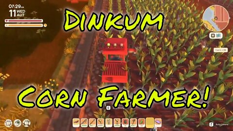 Dinkum 600 Plot Corn Harvest