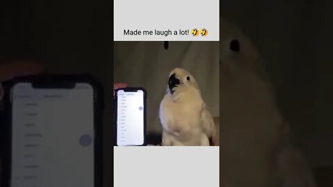 Made me laugh a lot! 🤣🤣