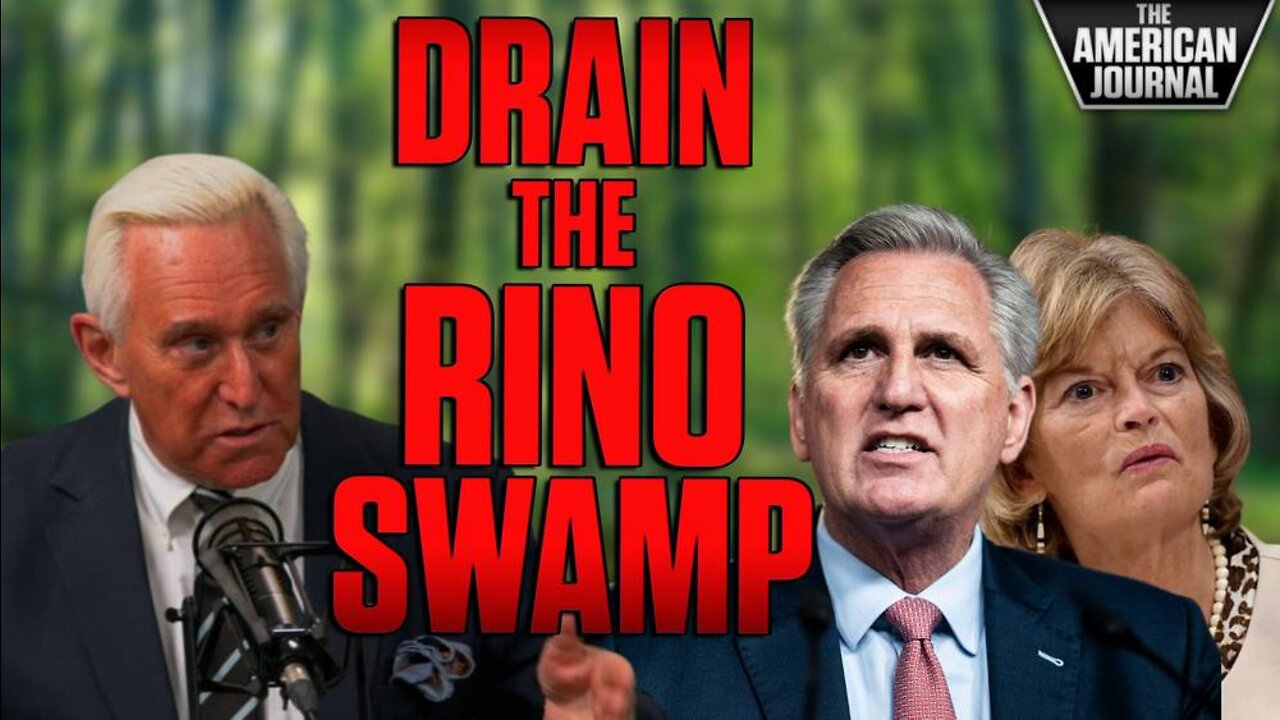 Roger Stone Blasts RINO Republicans Who Need To Be Primaried