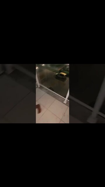 ''F''Ball... 🤡😂 #football #futebol #funny