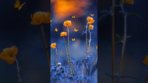 Beauty of nature