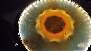 My DIY Magnetic Field Viewer (i.e. Ferro-Cell) and some interesting magnetic arrangements