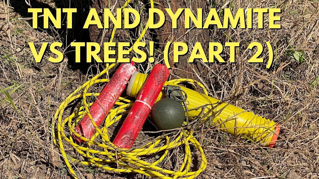 TNT, Dynamite, and other High Explosives VS Trees! (Part 2) #topshottreeservice