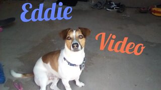 Eddie video vlog