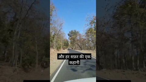 love is beautiful 😍 and caring ❤️ #subscribe #shorts #viralvideo