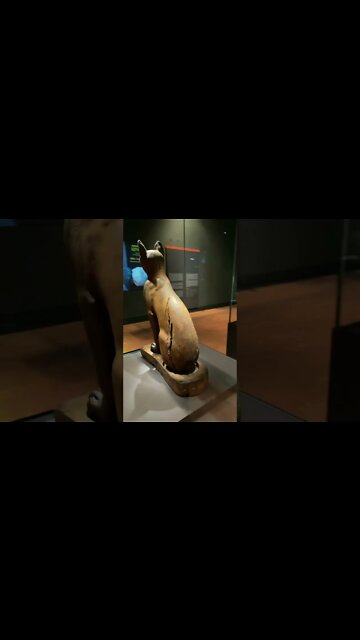 이집트 고양이 신