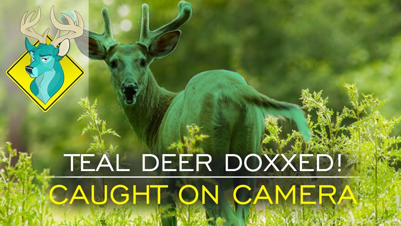 TL;DR - Doxxed & Caught on Camera [14/Jan/16]