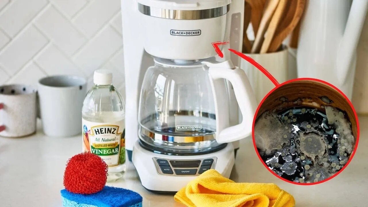 Your Coffee Maker Is Full Of Mold, Here's How To Clean It