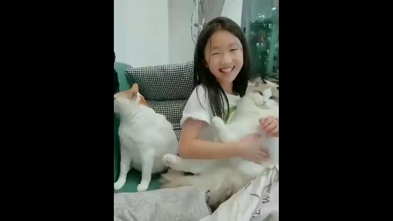 cute cat video