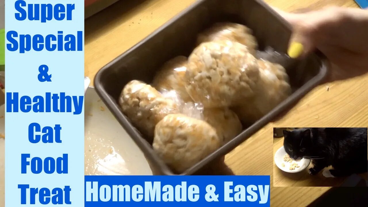 CAT FOOD TREAT. Super Special Healthy Cat Food Recipe. Easy 2 Main Ingredients: Chicken & Carrots