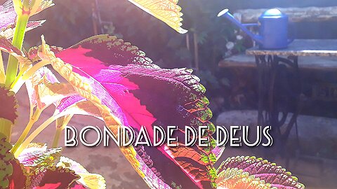 🐑Jardim de Louvor-26-(Bondade de Deus=Isaías Saad)🐑