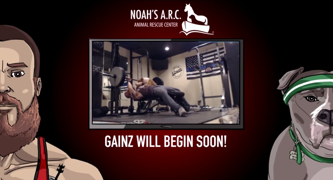 Gym Session w/Hank-a-Tank [Week 20] - Squats & Deadlifts // Animal Rescue Stream :)