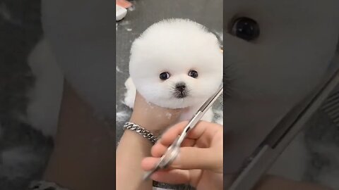 cute