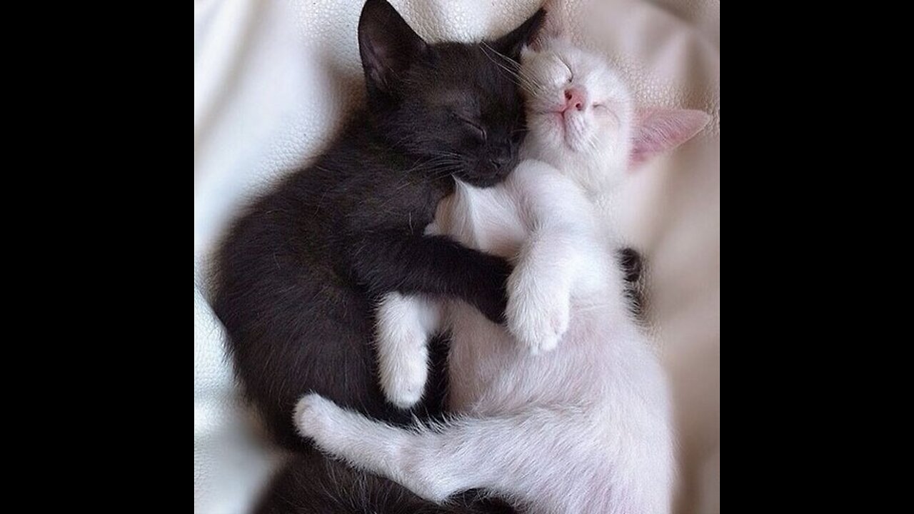 A house for love