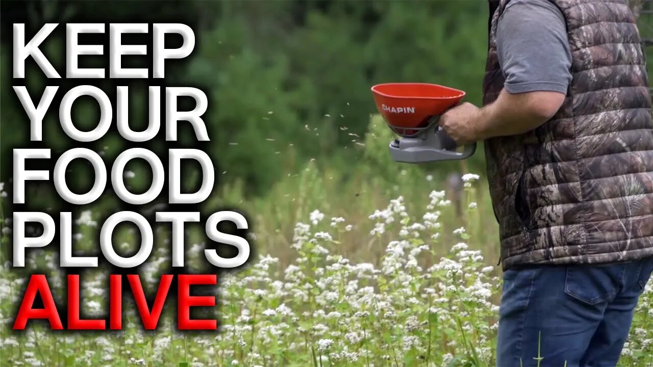 Real World Food Plot Problems