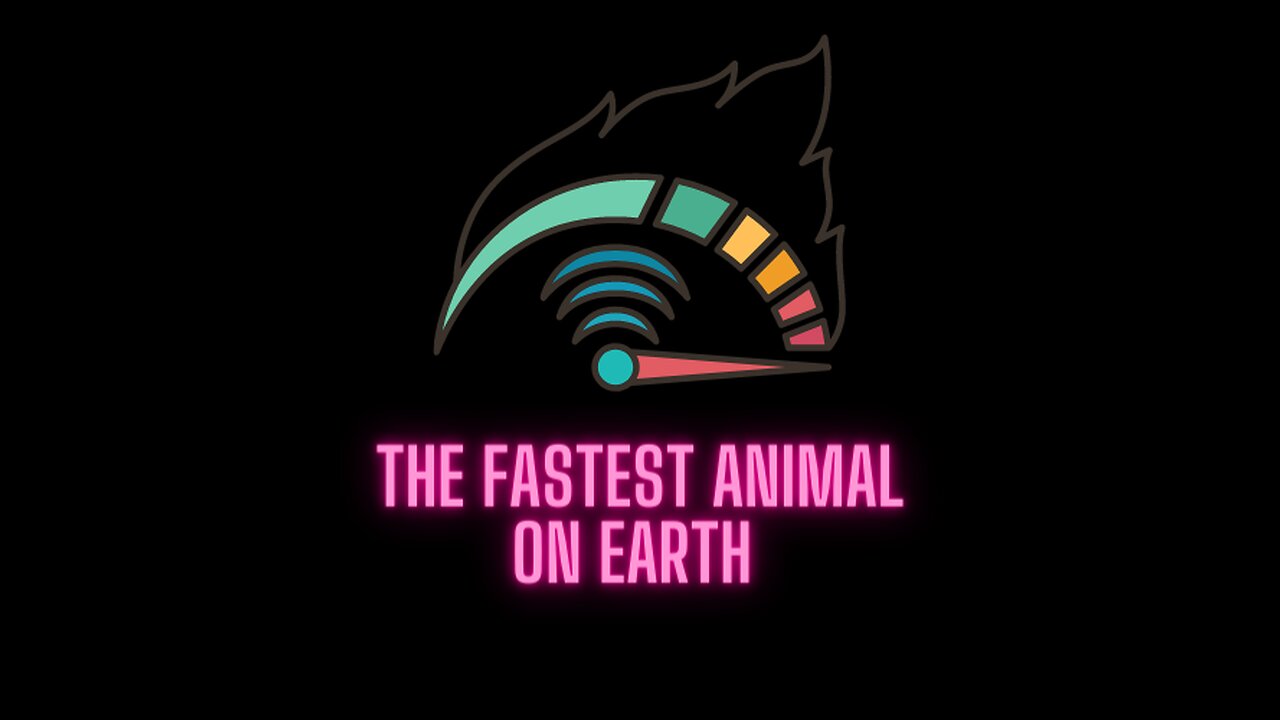 The fastest animal on earth