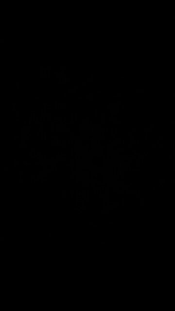 Hunter Biden cocaine