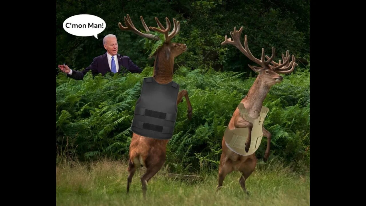 "Who needs 9mm or any other high caliber round?", asks Joe Biden