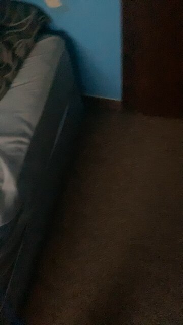 Face reveal!?!?!?(no)