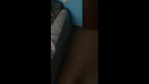 Face reveal!?!?!?(no)