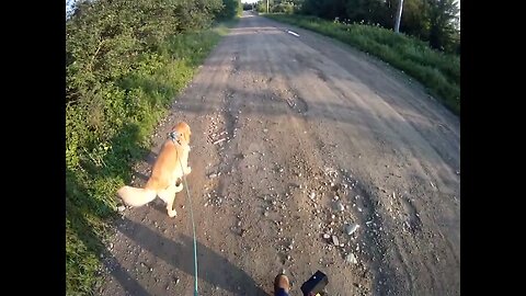 July 20th, 60º Flynn and I go to Prentiss but he fails to make a deposit.