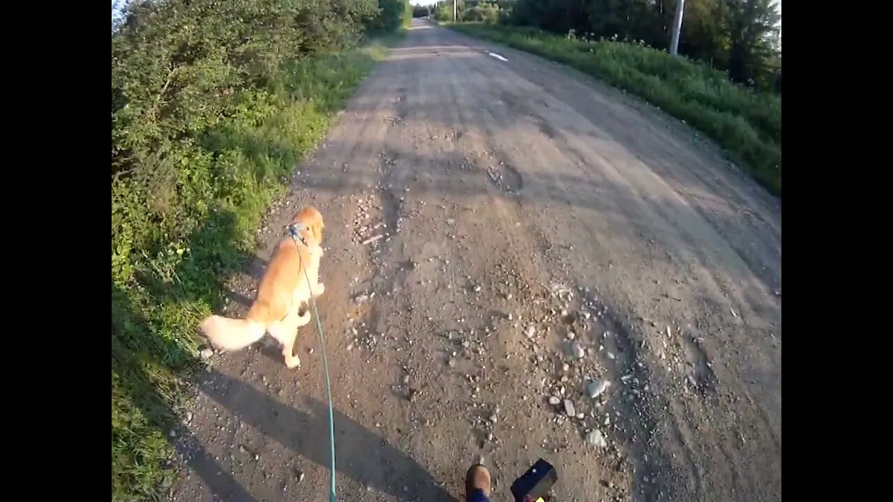 July 20th, 60º Flynn and I go to Prentiss but he fails to make a deposit.