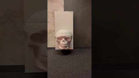 The Skull Toilet