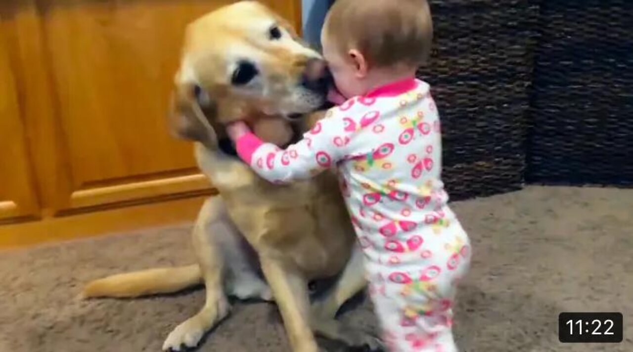 Cute Babies Playing With Dogs Compilation | Funny Baby And Pets