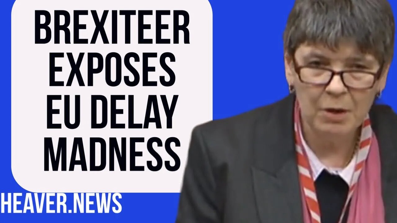 Brexiteer Exposes EU Law Delay MADNESS