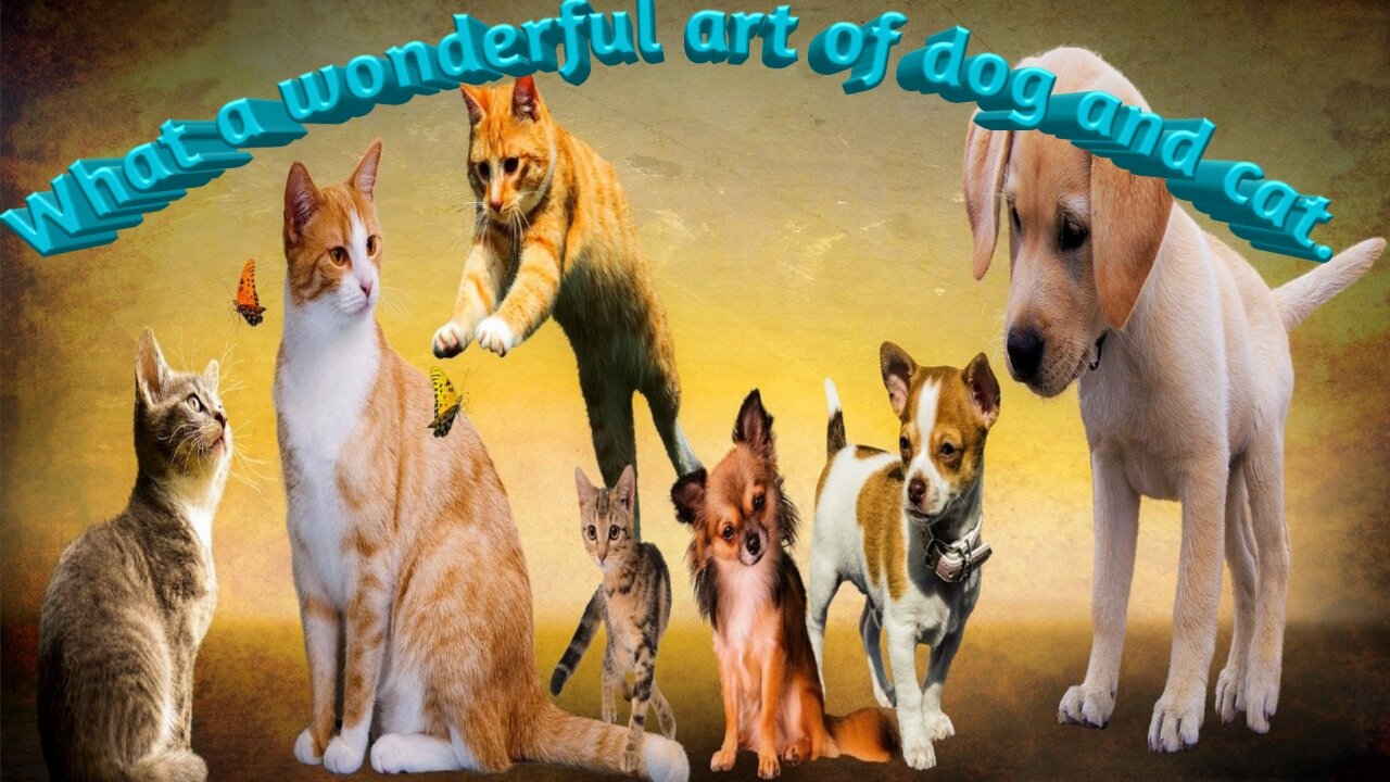 Dod anf cat art