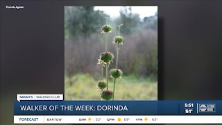 Walker of the Week: Dorinda