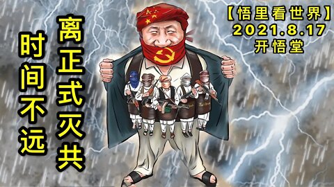 KWT2289离正式灭共时间不远20210817-6【悟里看世界】