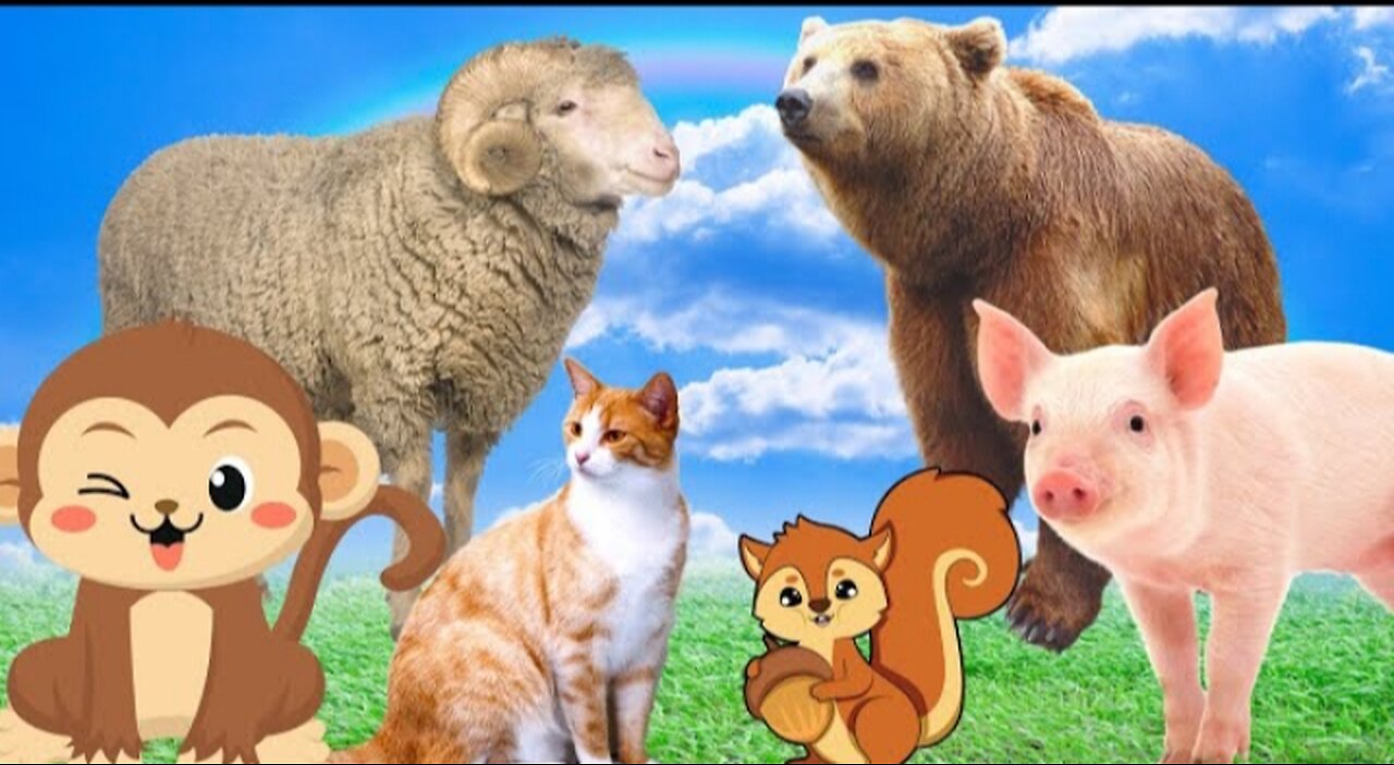 Familiar animal sounds - Cat, Monkey, Pig, Squirrel, Sheep,...