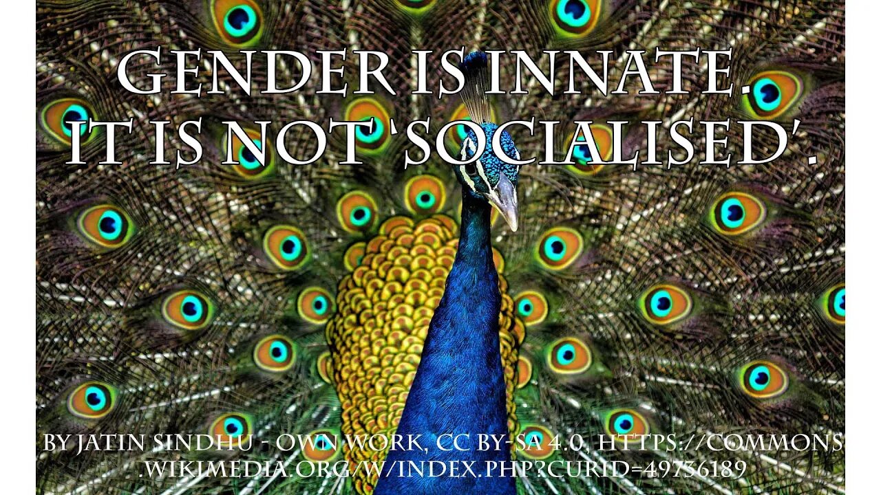 Gender is Innate: the physical basis of gender
