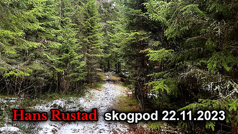 Skogpod 22. november 2023