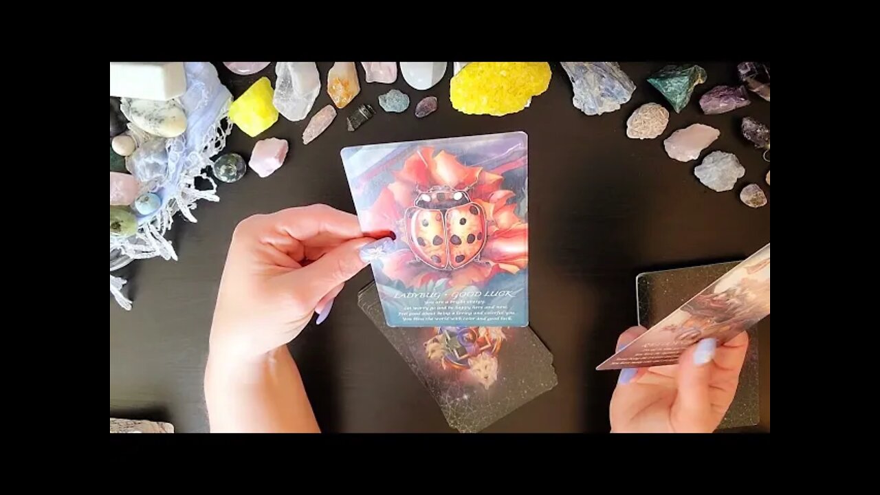 ♉ Taurus~Miraculous Change~🕊️What Spirit Wants You To Know🌏March 14-21 Tarot Reading