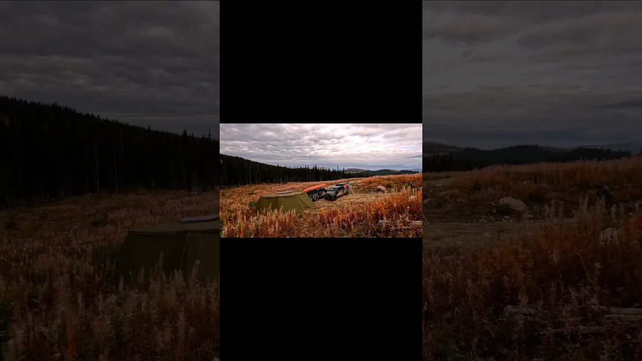 Peak Fall Colors Overlanding in Mountains #shorts #solo #overlanding #fall