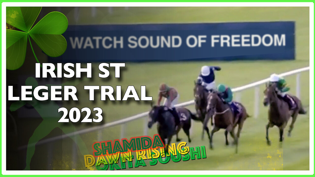 2023 Irish St Leger Trial | Shamida (IRE), Dawn Rising (IRE), Point King (IRE)