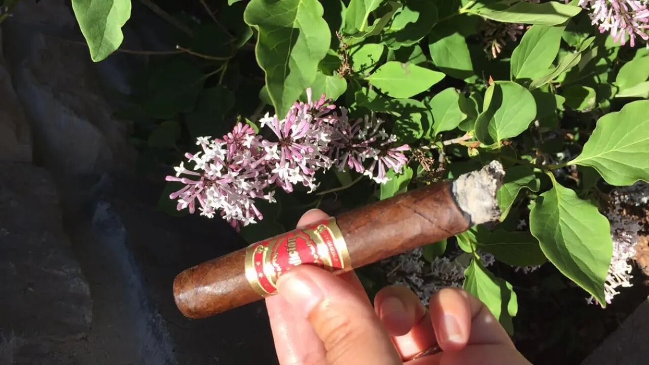 Drew Estate & Crowned Heads: La Coalicion cigar review/discussion