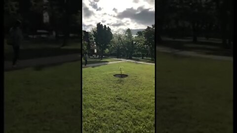 Cloudy yet sunny day ⛅️